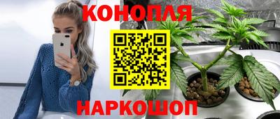 трава Будённовск
