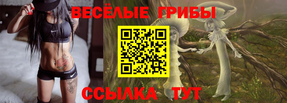 Псилоцибиновые грибы ЛСД Валуйки